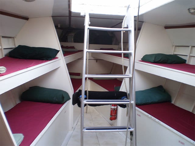 bunk beds on apollo