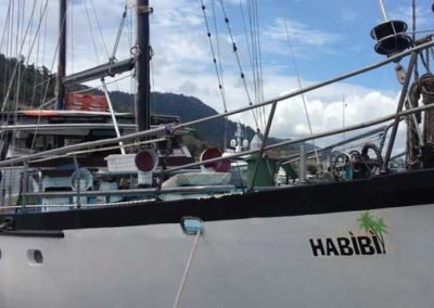 habibi sitting at the harbor