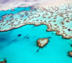 Whitsundays Tours To Whitehaven Beach and The Great Barrier Reef