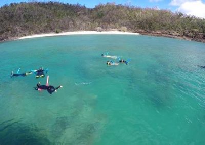passengers snorkelling in a coral bay whitsundays tour