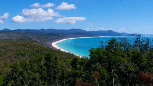 New South Whitehaven Beach Lookout