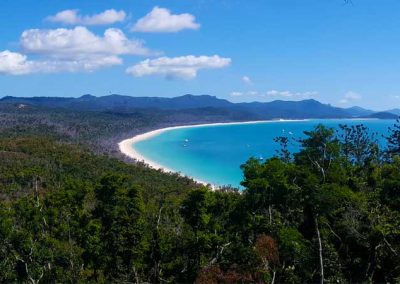 New South Whitehaven Beach Lookout