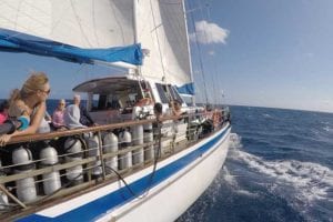 Anacaonda sailing to the reef