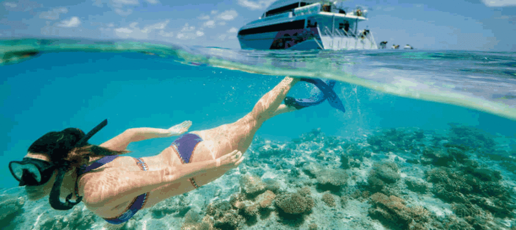 Great Barrier Reef Tours