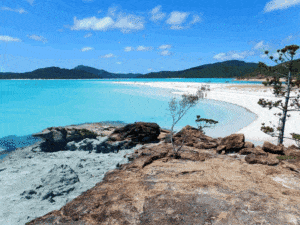 Airlie Beach Half Day Tours