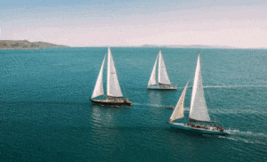 Cheap Day Tours Whitsundays