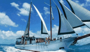 Whitsunday Deals 2019