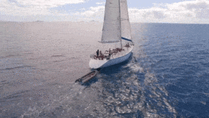 Whitsundays Yacht Tours
