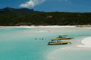 Whitsunday Day Boat Tours