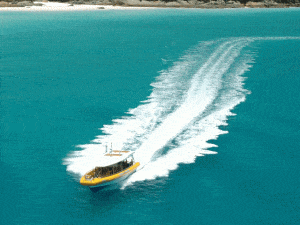 Whitsunday Island Adventure Tours