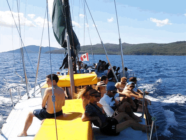 Best Whitsundays Sailing Tours