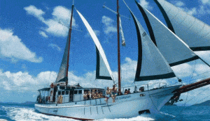 Whitsundays Best Boat Tours