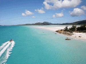 We have some low price specials available on all Whitsundays tours you will not find anywhere else. Take a look at the low prices and book online right here. We have very affordable packages for backpackers and students, families and solo travellers. We even have specials on our luxury package options. The price you see on all of the Whitsundays tours is the price you pay, there are no hidden costs here. If you choose to do scuba diving there will be an added cost, all is explained on the package tour information pages. Apart from that, everything else is included in the price. All snorkeling equipment is provided as are the refreshments at no extra charge. Keep reading for further details about: · Zigzag Whitsundays · Cruise Whitsundays · Airlie Beach discount coupons · Groupon Whitsundays information · Whitehaven Beach tours · Whitsundays full day tour deals · Backpacker deals Whitsundays · Airlie Beach tour deals Our most popular specials on all the Whitsundays tours right now are: 1. Condor Whitsundays 2 Day 2 Night Tour 2. Atlantic Clipper – Backpackers Yacht Sailing Tour 3. Avatar Trimaran Package 4. Spank Me – Backpacker Sailing Tour 5. Ride to Paradise Catamaran Tour You can read more about each and every one of these tours below. Whitsundays Tours Specials Please note that the listed prices are to be used as a guide only. The tours specials can be seen when you view the tour information pages, simply click the "Book Now" text to get started. Half Day Tours Jetski Tour This is a Whitehaven beach half day tour on JetSki’s. This package explores the beautiful Pioneer Bay, Port of Airlie and 2 Islands. This safari tour is around 2.5 hours long and takes you past South Molle Island and Day Dream Island on a thrilling adventure. The tour is fully guided by trained instructors and often encounters Sea turtles, dugongs and sea birds. Each ski can take 2 people. You will get a qualified guide, all jetski apparel is provided. The adventure operates daily in most weather conditions. Thorough safety briefing and demonstrations provided by a qualified tour guide. We have 10 jet skis available per tour (maximum of 16 people). Families and groups are most welcome Price: $280 (two per jetski) Departure Location: Abell Point Marina, Airlie Beach (twice a day) Days: Everyday Departure Time: Morning – 9:00am. Afternoon 1.00pm (last 3.5 hours) Book Now Skydive Take in the stunning views across the Whitsundays from the air. Feel the absolute ultimate thrill and way to view the magnificent glory the Whitsundays has to offer. The airport is just minutes from Airlie Beach and you will be provided free return transfers to your accommodation. Jump from the incredible altitude of up to 15,000 feet directly over the crystal clear waters and sparkling white sands of these stunning tropical islands of the Whitsundays. Price From $219 Departure Location: Check-in shop address: Skydive Australia Building, Air Whitsunday Road, Whitsunday Airport Days: Everyday Departure Time: Varies Book Now One Day Tours ZigZag Speed Boat Package This package is the lowest possible price you will ever get for a one day tour around the Whitsundays. It is on board a fast paced speed boat and is the only day trip around that offers a tour of the Palm Bay Resort on Long Island. Not only is this package cheap, it is unique too. Well worth the money and has received amazing reviews. You will also get 2 snorkel locations and 90 minutes on Whitehaven Beach. All this in one day makes it the most action-packed Whitsundays tour on the market. Price: $105 Departure Location: Abell Point Marina, Airlie Beach Days: Tuesday, Thursday, Friday, Saturday and Sunday Departure Time: 8:00am. and returns between 4:00pm – 4.30pm Book Now Thundercat Speed Boat Tour This package is an exciting ride on a catamaran, the boat is so fast it is recommended for those that don’t fare too well on the sea. The one day tour visits Hill Inlet Look Out at Whitehaven Beach, 2 beaches, and 2 snorkel locations. Thundercat is ideal for all travelers including singles, couples, groups, and families. This one includes Hamilton Island day trips from Airlie Beach. Price: $179 Departure Location: Abell Point Marina, Airlie Beach Days: Everyday Departure Time: 9:00AM. and returns later that day at 5.00pm Book Now Fury Speed Boat Tour This is a fast paced day trip visiting Hill Inlet Lookout and the south end of Whitehaven Beach. You will get time snorkeling the coral reefs and have lunch on Whitehaven Beach. The boat itself has 4 engines totaling 900 horsepower, with this kind of speed there will be no seasickness. Price: $160 Departure Location: Abell Point Marina, Airlie Beach Days: Everyday Departure Time: 10:00am. and returns the same day at 5.00pm Book Now Whitsunday Bullet One of the few trips at this low price that offers scuba diving. Snorkeling is also included, the scuba diving must be pre-booked. The Whitsunday Bullet visits Hill Inlet lookout and the south end of Whitehaven Beach. The vessel was purpose built for speed and comfort. It has a top speed of 25 knots so you can be assured of getting to your destination quickly and in style. Price: $179 Departure Location: Abell Point Marina, Airlie Beach Days: Everyday Departure Time: 9:00am. and returns the same day at 4.30pm Book Now Ocean Rafting Northern Tour (Includes Lunch and Sunsuit) Ride on semi-rigid inflatable vessels across the Whitsundays. Each one can take up to 32 passengers, personal snorkelling lessons are available. A buffet style lunch is served at the beach with plenty of time to swim in the turquoise ocean or just relax on the silica white sand. This Northern tour visits Hill Inlet Lookout on Whitehaven Beach and 2 snorkelling locations. Price: $175 Departure Location: Abell Point Marina, Airlie Beach Days: Everyday Departure Time: 8:45am and returns the same day at 3:30pm Book Now Over Night Tours Many of these trips are from Airlie Beach to Hamilton Island. To discover more about each package simply click the “Book Now” text. Freight Train Yacht Package This package gives you the chance to sail around the islands on a yacht. The adventure includes a visit to the Whitsunday islands and visits Hill Inlet Lookout at Whitehaven Beach plus 3 snorkel locations. The tour takes 18 guests with 3 crew. The accommodation is dorm style with a mixture of singles and doubles available. This option is best for people looking for a more relaxed chilled out trip with fewer guests on board than most other packages. Price: $250 Departure Location: Abell Point Marina, Airlie Beach Days: Monday, Wednesday and Saturday Departure Time: 8.30am. and returns the next day at 4.00pm Book Now Ride to Paradise Catamaran Tour This is a very different package to many others. You get the chance to stay at a luxury resort and explore all the wonderful islands by day, absolute paradise. This package is for anyone aged 18 and up. The accommodation has a mixture of private doubles, twin and dorm rooms. Each day you will leave the resort on a fast comfortable catamaran and visit iconic locations around the Whitsundays. Price: $589 Departure Location: Abell Point Marina, Airlie Beach Days: Monday Wednesday and Saturday Departure Time: 2:30pm. and returns 2 days later at 12.00pm Book Now Tongarra – Backpackers and Students Tour (catamaran sailing trip) This package is for the youngsters out there aimed at backpackers and students looking for a good time on a budget. The tour visits the best destinations in the Whitsundays including Whitehaven Beach, Hill Inlet Lookout and snorkeling the coral filled bays that surround the islands. Price: $489 Departure Location: Abell Point Marina, Airlie Beach Days: Monday, Wednesday and Friday Departure Time: 2:30 pm. and returns 2 days later at 12.00pm Book Now Blizzard Modern Yacht Package This tour is onboard a stunning yacht which has been purpose-built for the Whitsunday market. The tour visits Whitehaven Beach, Hill Inlet Look Out and some of the best snorkeling locations in the world. The yacht is very comfortable with five cabins, three bathrooms and a spacious saloon all below deck. Price: $525 Departure Location: Abell Point Marina, Airlie Beach Days: Tuesday, Friday, and Sunday Departure Time: 4:00 pm. and returns 2 days later at 2.00pm Book Now Habibi – 60ft Long Steel Ketch Tour This adventure is onboard a 60ft long steel ketch and is fun filled from start to finish mainly aimed at backpackers and students. The trip is perfect for ages 18-35 who are looking to explore the islands in comfort, the Habibi takes 26 guests and has 3 crew. Price: $459 Departure Location: Abell Point Marina, Airlie Beach Days: Wednesday,Friday and Sunday Departure Time: 2:00pm. and returns 2 days later at 12.00pm Book Now Spank Me – Backpacker Sailing Tour This sailing trip is perfect for ages 18-35, it is aimed at backpackers and students on a tight budget. You will visit Whitehaven Beach including the famous Hill Inlet Lookout on the Northern End. Snorkel locations can include Luncheon Bay, Caves Cove, Blue Pearl Bay plus many more destinations. With a professional fun crew and a boat built to win races, you will have the time of your life visiting the Whitsundays on this famous Australian yacht. Price: $474 Departure Location: Abell Point Marina, Airlie Beach Days: Wednesday,Friday and Sunday Departure Time: 1:00pm. and returns 2 days later at 10.30am Book Now Mandrake 52ft Long Ocean Racer Yacht This is the perfect Tour for anyone wanting to take a small group on a budget around the islands. The trip is perfect for ages 18-35 who want a relaxed atmosphere. You will visit Whitehaven Beach including the famous Hill Inlet Lookout on the Northern End. Snorkel locations can include Luncheon Bay, Caves Cove, Blue Pearl Bay plus many more. Price: $474 Departure Location: Abell Point Marina, Airlie Beach Days: Tuesday,Thursday and Saturday Departure Time: 3:00pm. and returns 2 days later at 12.30pm Book Now Avatar Trimaran Package This is our most popular student/backpacker tour of the Whitsundays. The Avatar is the only commercial trimaran in the region. This sailing trip is perfect for ages 18-35. All meals, Linen, Snorkel Equipment, Wetsuits are included in the price. This is one really great deal at an affordable price. What sets Avatar apart from all the other Whitsundays Tours is its size, At 67 feet long and 54 feet wide there is plenty of room to sun-bake on the comfortable nets and watch the Whitsundays cruise by. Price: $534 Departure Location: Abell Point Marina, Airlie Beach Days: Tuesday,Thursday and Saturday Departure Time: 11:30am. and returns 2 days later at 9.30am Book Now Entice – Luxury Overnight Yacht Tour This modern yacht takes only 10 guests to ensure a more personalised trip of the Whitsundays. Visit Whitehaven Beach including the world famous lookout at Hill Inlet plus snorkel multiple snorkel locations around the islands in the coral filed bays. Private bedrooms are available with their own private bathrooms. You will not find a more comfortable way to travel the Islands. Price: $525 Departure Location: Abell Point Marina, Airlie Beach Days: Tuesday Monday, Wednesday and Saturday Departure Time: 4:00 pm. and returns 2 days later at 2.00pm Book Now New Horizon 21-Meter Wooden Sailing Vessel Package This is the perfect way to experience the Whitsunday Islands on a small budget. This tour is the only boat at such a cheap price that has air-conditioning and large comfortable beds. This sailing tour is one of only a few that has an onboard diving board and a giant inflatable slide. This is a student and backpacker tour. All meals, Linen, Snorkel Equipment, Wetsuits, movie lounge, dive platform, 7metre inflatable waterslide are included in the price. Scuba Diving is available on the tour at $60 per dive. Price: $499 Departure Location: Abell Point Marina, Airlie Beach Days: Tuesday Monday, Thursday and Saturday Departure Time: 2:00 pm. and returns 2 days later at 11.30am Book Now Atlantic Clipper – Backpackers Yacht Sailing Tour This tour is for backpackers and students looking to see the area on a tight budget. It is aimed at people aged 35 and below, the clipper has two waterslides and a 6-metre dive platform to ensure maximum fun is achieved. Taking up to 52 guests this massive cruising yacht has air-conditioning, two waterslides, a 6-metre dive platform, 21 cabins, hot showers, a heated spa bath for 12 and scuba dive facilities. The tour is famous for its crew and fun games played onboard. If you are looking for a fun and energetic cruise with social drinks at night, This is the tour for you. Price: $549 Departure Location: Abell Point Marina, Airlie Beach Days: Tuesday, Thursday and Saturday Departure Time: 2:30 pm. and returns 2 days later at 12.00pm Book Now O’Nice Whitsundays Two Day Two Night Tour This tour is on a modern yacht and can take just ten guests at any one time. Visit Whitehaven Beach including the world famous lookout at Hill Inlet plus snorkel multiple snorkel locations around the islands in coral filed bays. This is considered a luxury package with accommodation at the high end of the scale having private double bedrooms with ensuites available. If you are looking for a sailing tour with low guest numbers, comfortable living arrangments and exhilarating sailing then this is the Whitsundays Tour for you. Price: $525 Departure Location: Abell Point Marina, Airlie Beach Days: Tuesday, Thursday and Saturday Departure Time: 4:00 pm. and returns 2 days later at 2pm Book Now Condor Whitsundays 2 Day 2 Night Tour This 80-foot maxi yacht now takes 28 guests on a sailing adventure around the Whitsunday Islands including up to 4 hours on Whitehaven Beach and three vibrant snorkelling locations. Price: $499 Departure Location: Abell Point Marina, Airlie Beach Days: Tuesday, Thursday and Sunday Departure Time: 2:00 pm and returns 2 days later at 11.00am Book Now Apollo – Sailing Tour with Scuba Diving as Extra This tour lasts 3 days and 2 nights, it also has the option to do some scuba diving. You will visit Whitehaven Beach, Hill inlet lookout and much more. All meals, Linen, Snorkel Equipment, Wetsuits, 1 Free Dive (30 min minimum) is included in the price, no additional unexpected charges. If you want a real sailing tour on a real racing vessel then this is the trip f