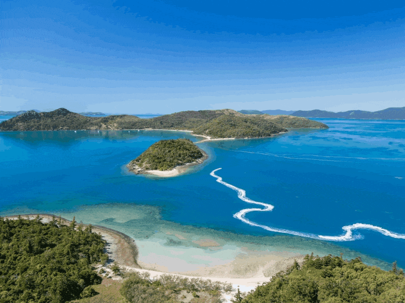 Whitsundays Tours Specials