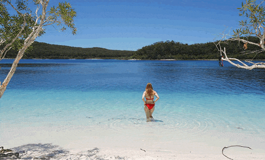 Whitsundays and Fraser Island Tours