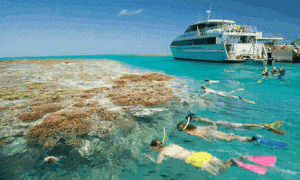 Whitsundays Tours To Great Barrier Reef