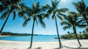 Airlie Beach Travel Guide FEATURED