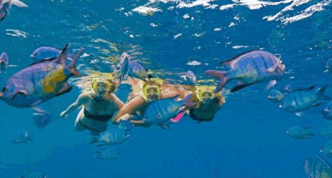 Great Barrier Reef Adventure prices and reviews