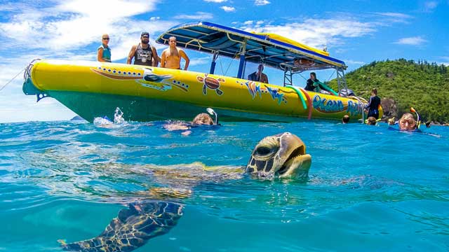 Ocean rafting with a turtle