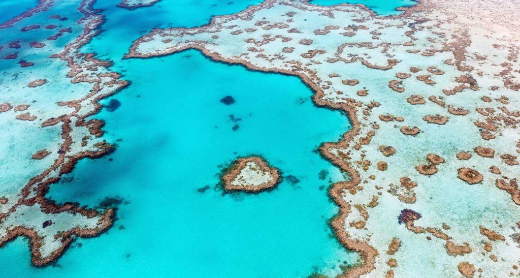 Heart reef viewd on a Whitsundays scenic flight