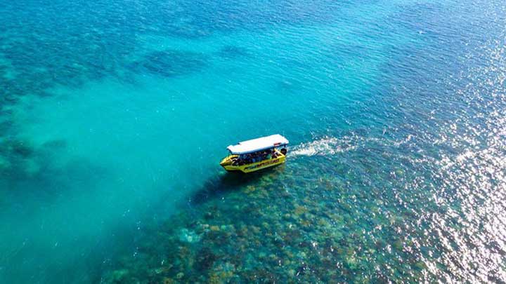 airlie beach glass bottom boat over coral reef