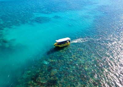 Airlie Beach Glass Bottom Boat Tour On Coral Reefs