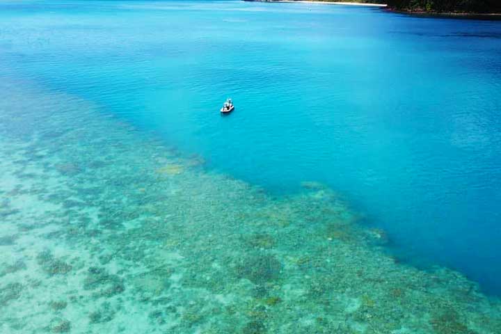 Airlie Beach Scuba Diving Tour