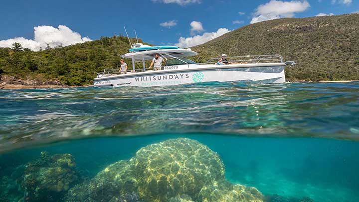 Whitsundays Private Charters