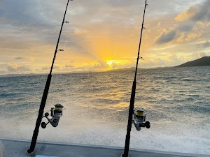 Get Out and About Fishing Charters Whitsundays