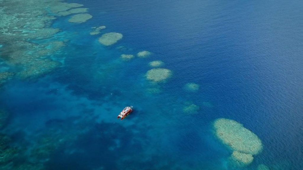 Red Cat Adventures Great Barrier Reef Tours From Airlie Beach