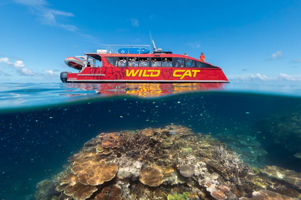 Red Cat Great Barrier Reef Tour From Airlie Beach