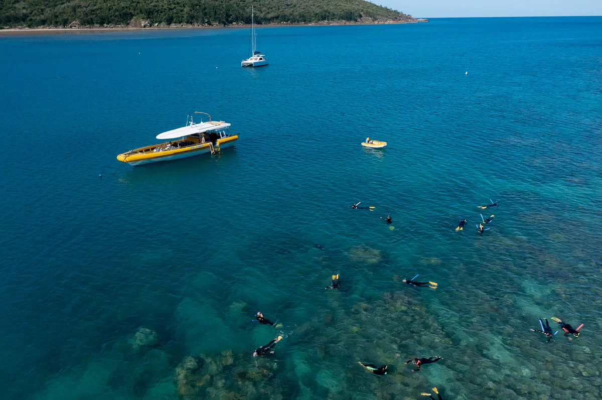 airlie beach snorkelling tours