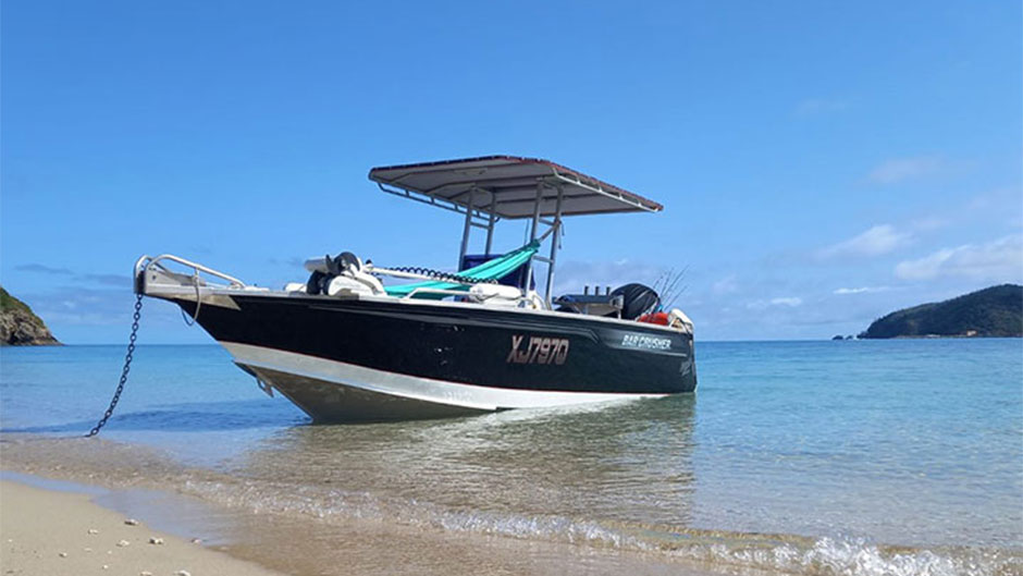 fishing charters from airlie beach