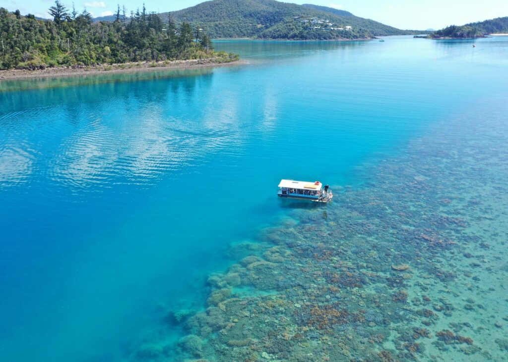 Airlie Beach Glass Bottom Boat (13)