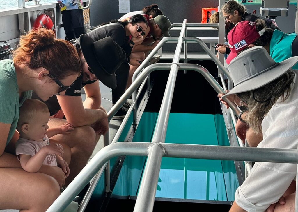 Airlie Beach Glass Bottom Boat (7)